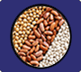 food safety best & quick services stationery xerox, certificate services pvc card printing stamp papers